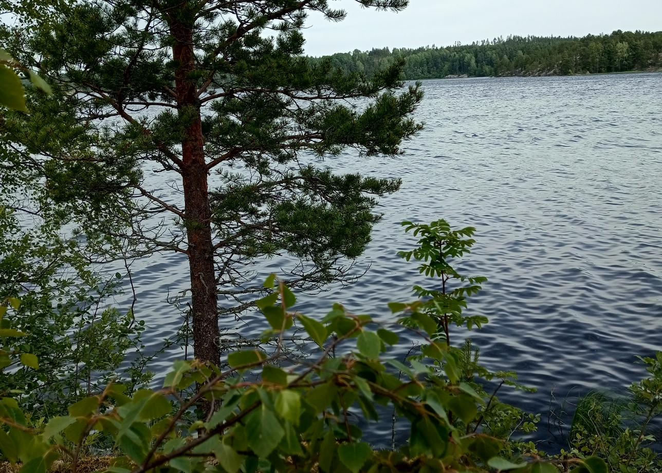 Всё организовано, еда, спальные места, перевозка. Заранее оговаривается комплект вещей, необходимый с собой, точка и время сбора