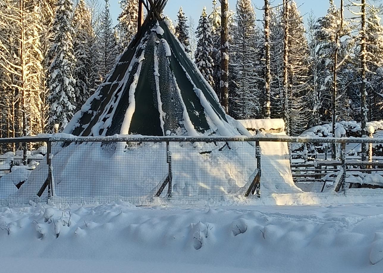 Моя поезда была в сказочный край Карелия. Тур был 4х дневный. Каждый день был насыщенный разными