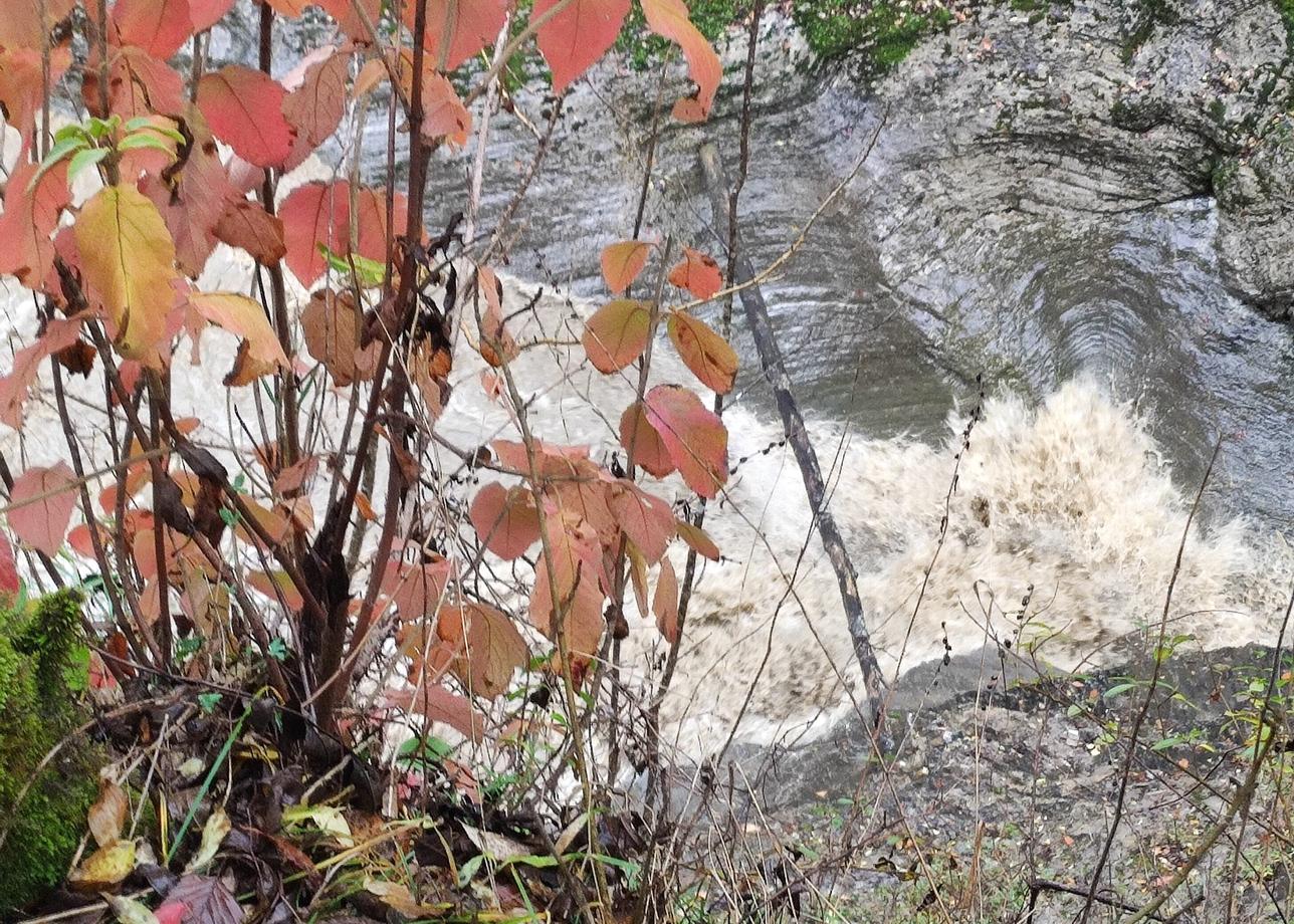 Путешествовали по Адыгее по программе тура "Водная Ривьера. Осенний отдых на термальных источника" в период осенних