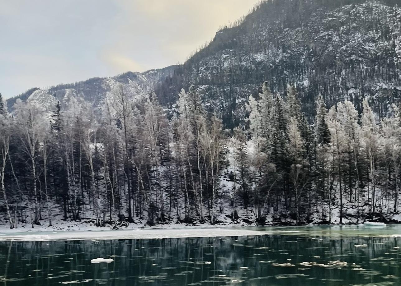 Ездила в тур по Алтаю с 3 по 7 января. Очень понравилось. Размещение было в отеле