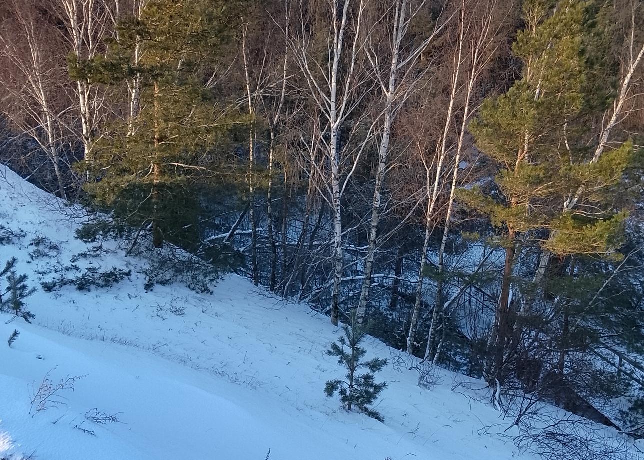 Добрый день. Прекрасный тур. Все продумано до мелочей. Экскурсии прекрасные, насыщенные. Экскурсоводы замечательные. Очень видно, что
