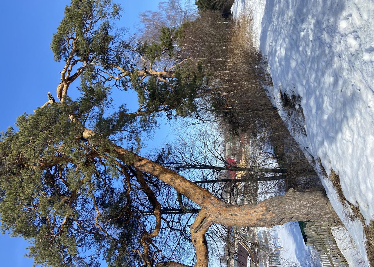 Нижний Новгород и Городец конечно же великолепны!