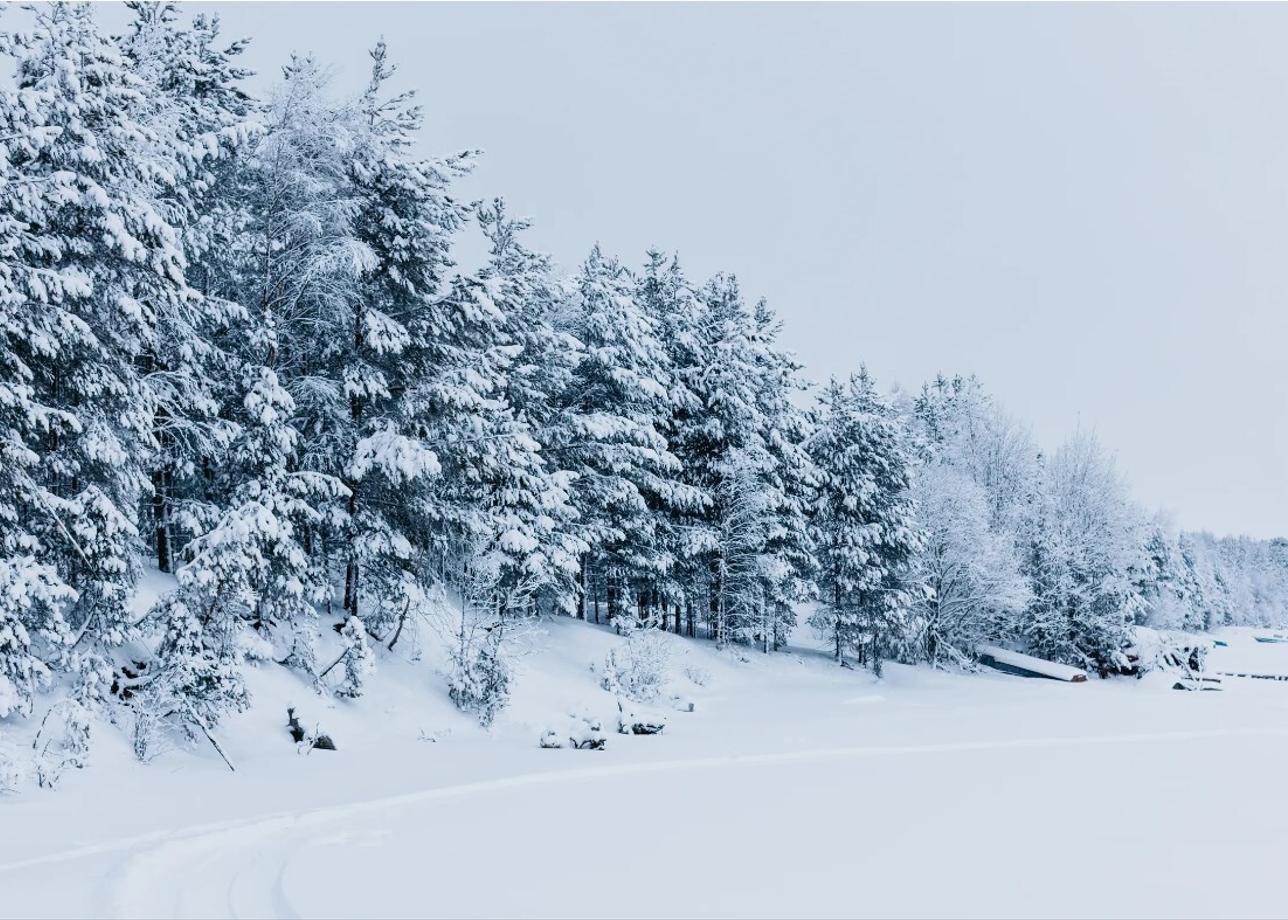 Добрый день! Очень долго выбирала зимний тур в Карелию (программы разные). Новогодние праздники 2026 года были