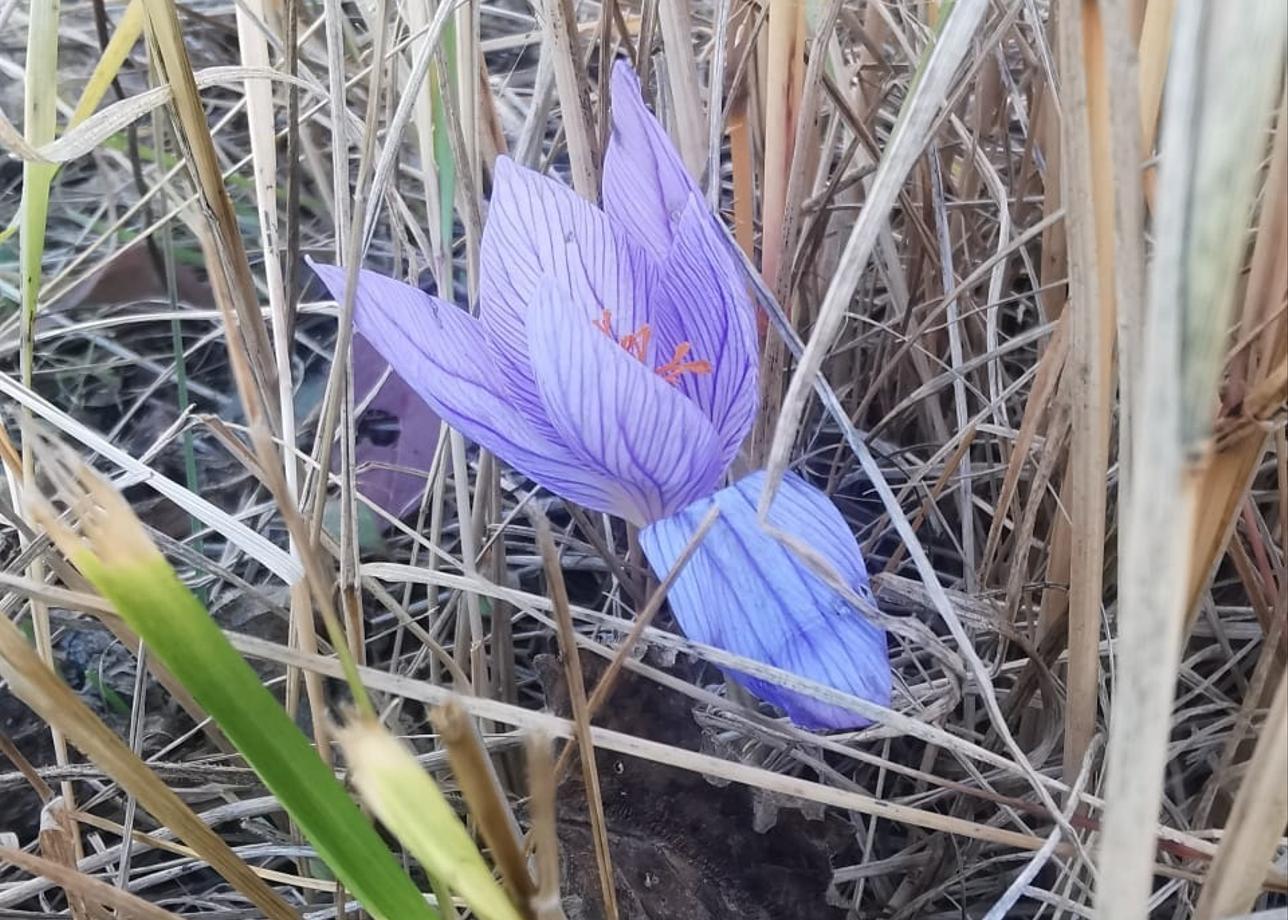 Были в туре с детьми на каникулах (с 26.10 по 01.11.2025)