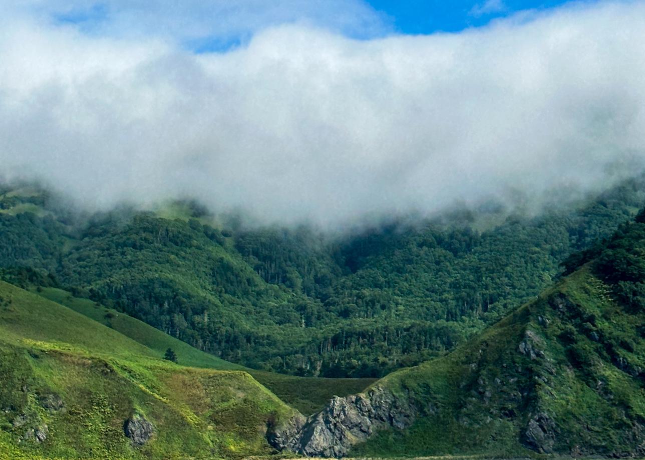 Отличная программа и организация