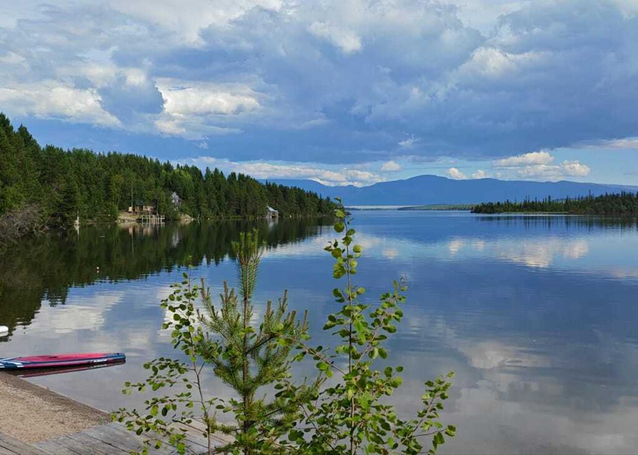 Всё было очень здорово! Это полный восторг! Организация, атмосфера, очень насыщенная программа! Видели морских животных тюленей