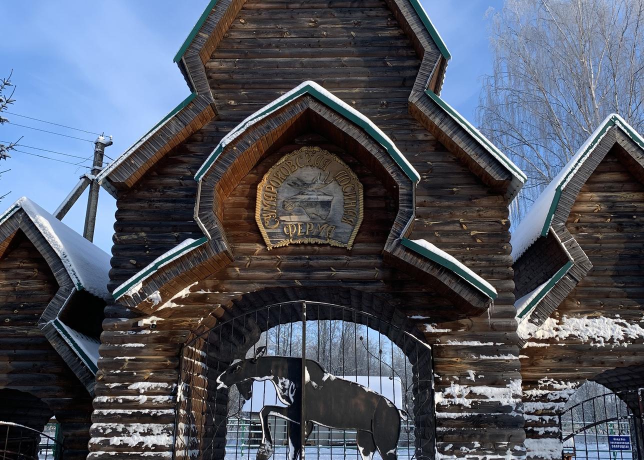 Огромное спасибо за новогоднюю сказку! Путешествие было чудесным. Вся программа очень интересная и насыщенная. Отдельное спасибо