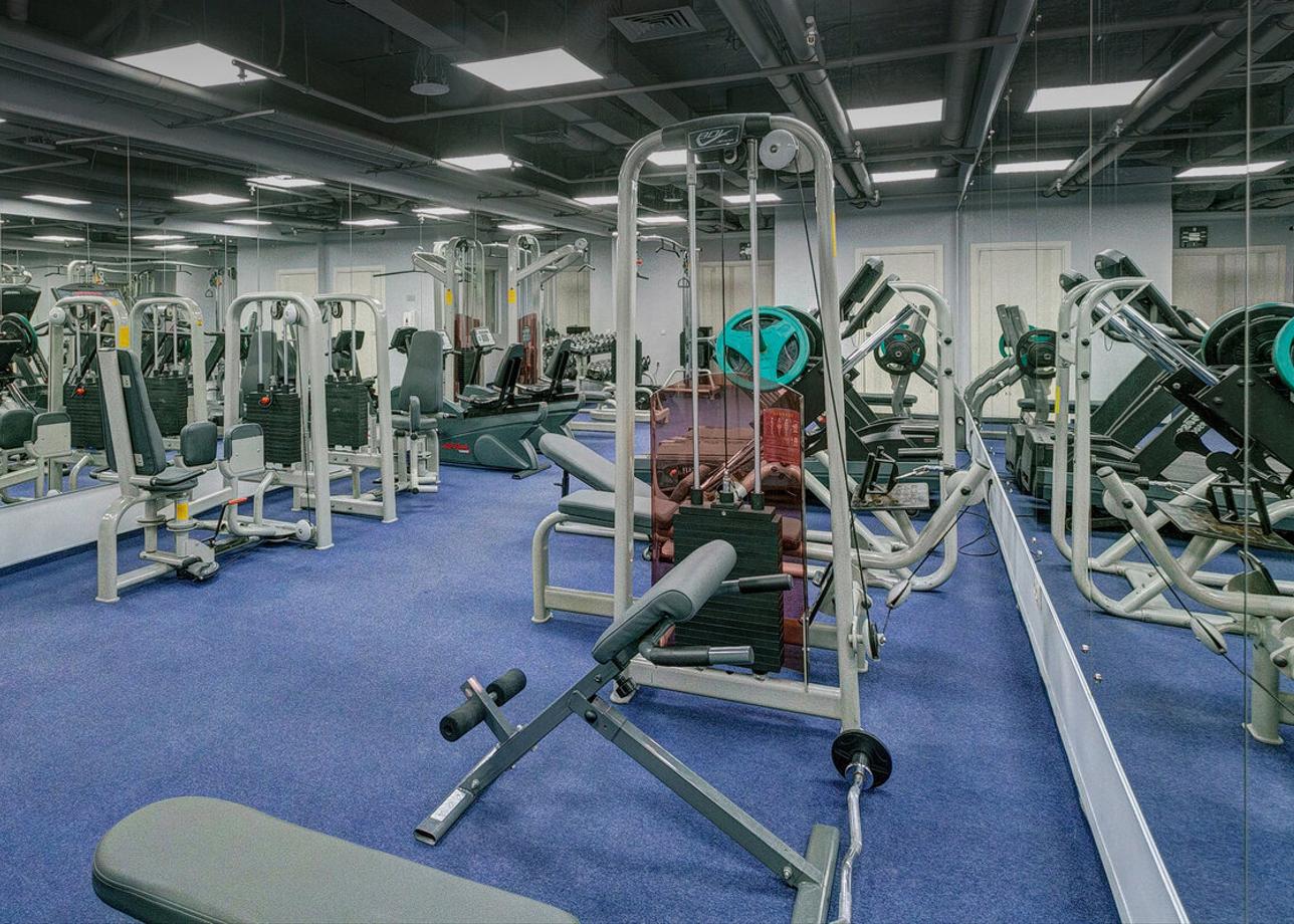 Альянс Бородино