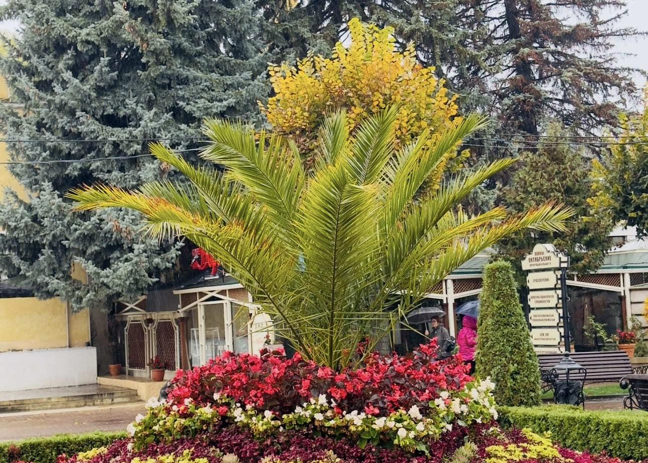 Прежде всего хочу сказать большое спасибо, потому что за такую цену даже не знаю где еще