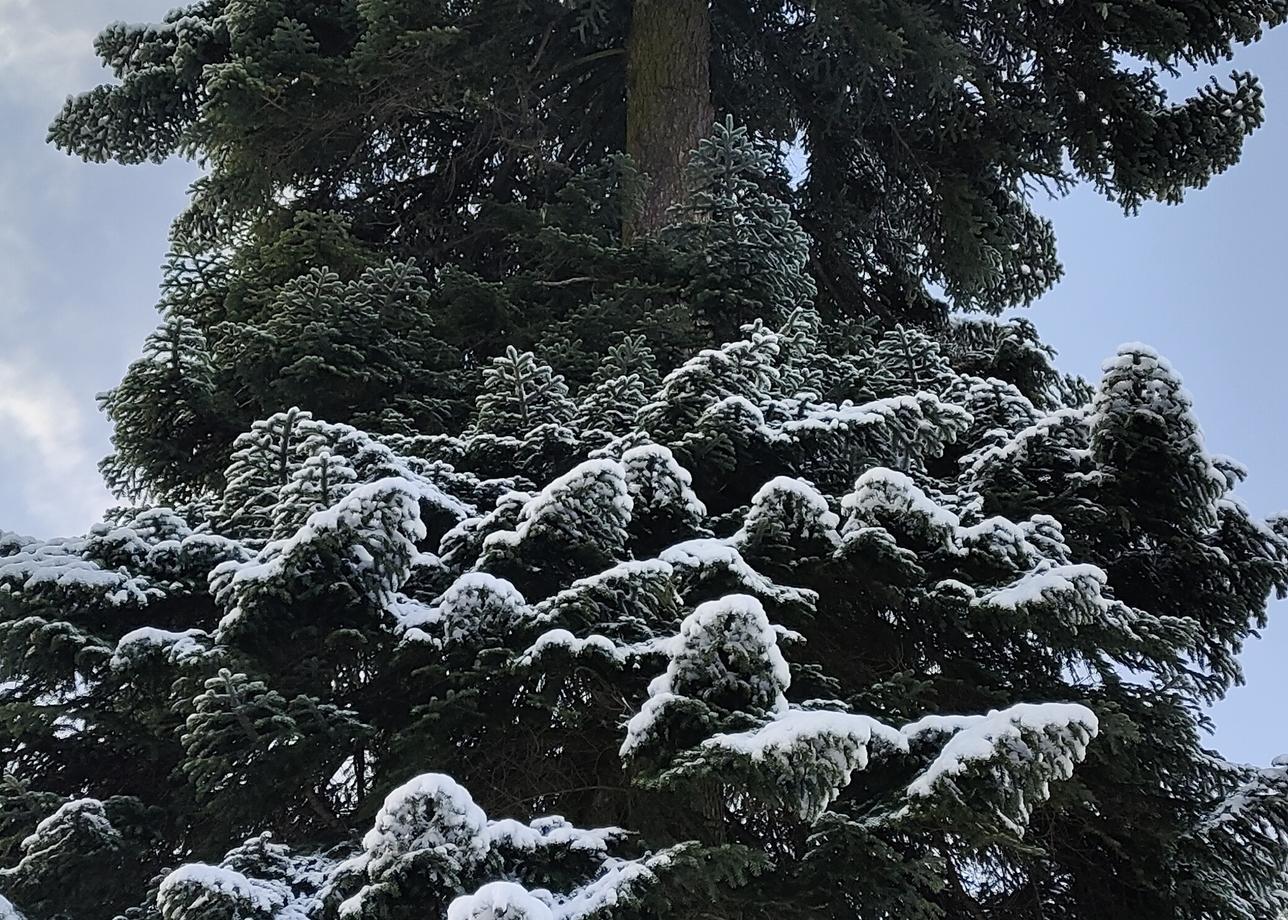 Очень понравился рождественский тур в Адыгею! Мы посетили большое количество мест за несколько дней, во многих