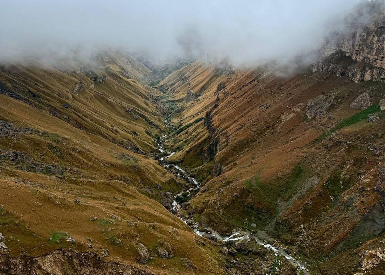 Добрый день!