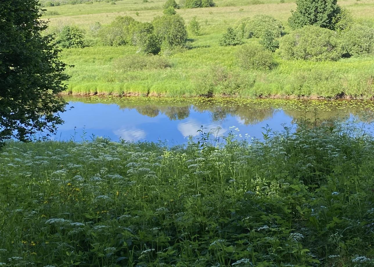 Отличный тур, прекрасные места, очень красивые и с погодой повезло, прекрасный гид Светлана Анатольевна море интересной информации.