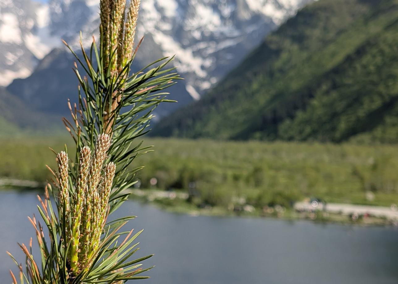 Начали своё знакомство с Северным Кавказом с тура "Курортный роман". Огромная благодарность всем организаторам нашего путешествия