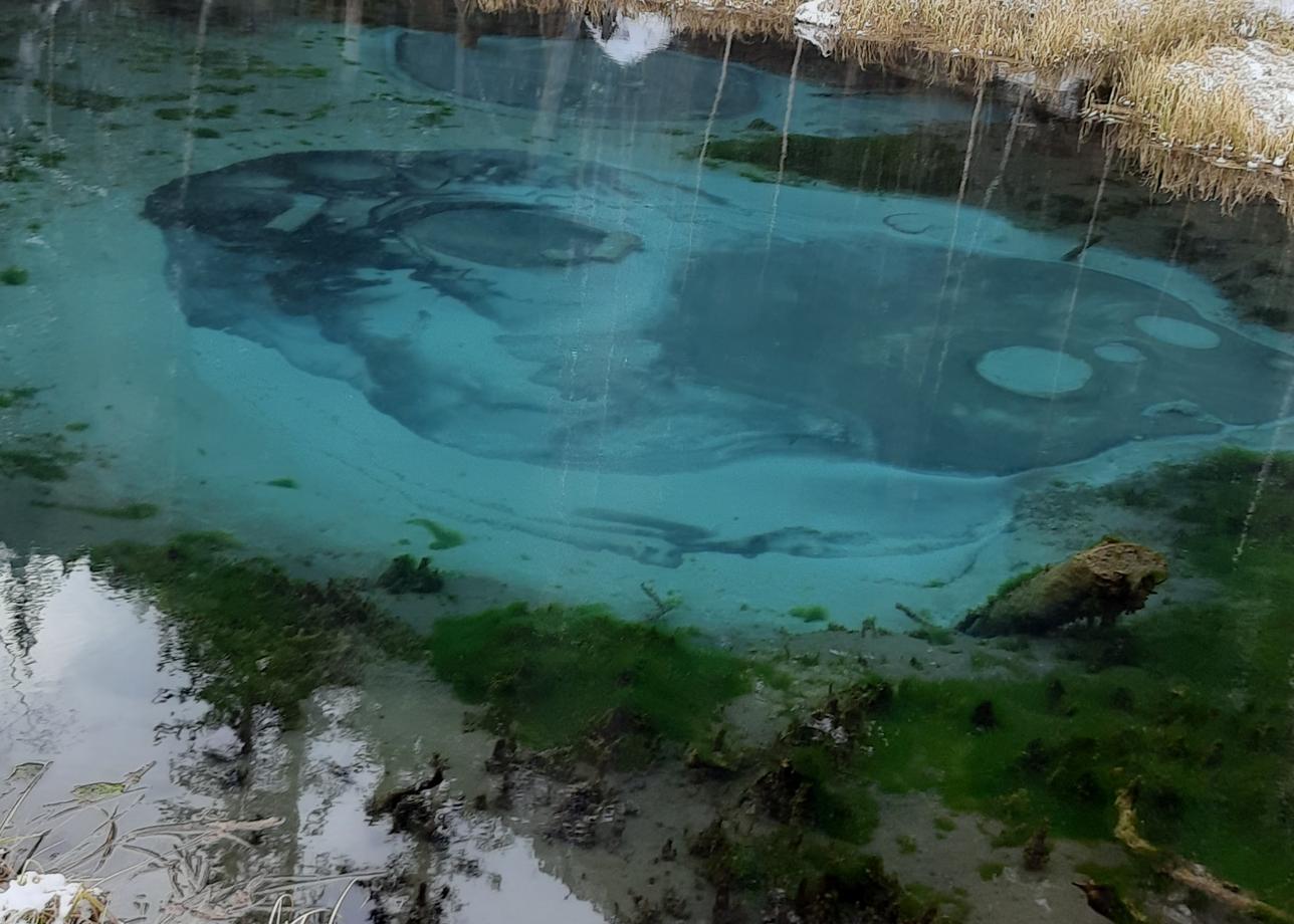 Добрый день, хочется поблагодарить за прекрасно проведённое время, за организацию самого тура, за 3 полных дня