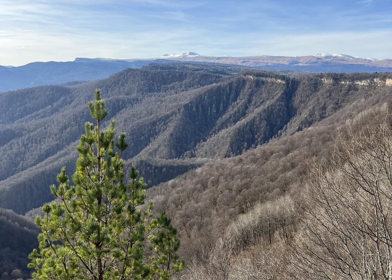 Поездка в Адыгею получилась просто великолепной! Погода радовала каждый день, а термальные источники стали настоящим спасением