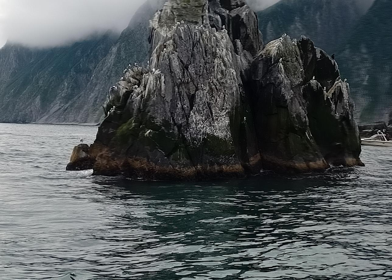 Морская прогулка в бухту Русскую, удалась. Скалы три брата, остров СтАричков, лежбище сивучей, невероятные пейзажи. Посчастливилось