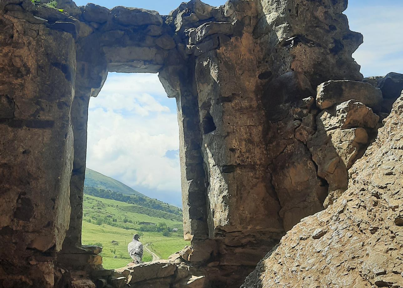 Организаторам, координатору Сергею, всем нашим гидам и водителям - большое спасибо за внимание, терпение, любовь к