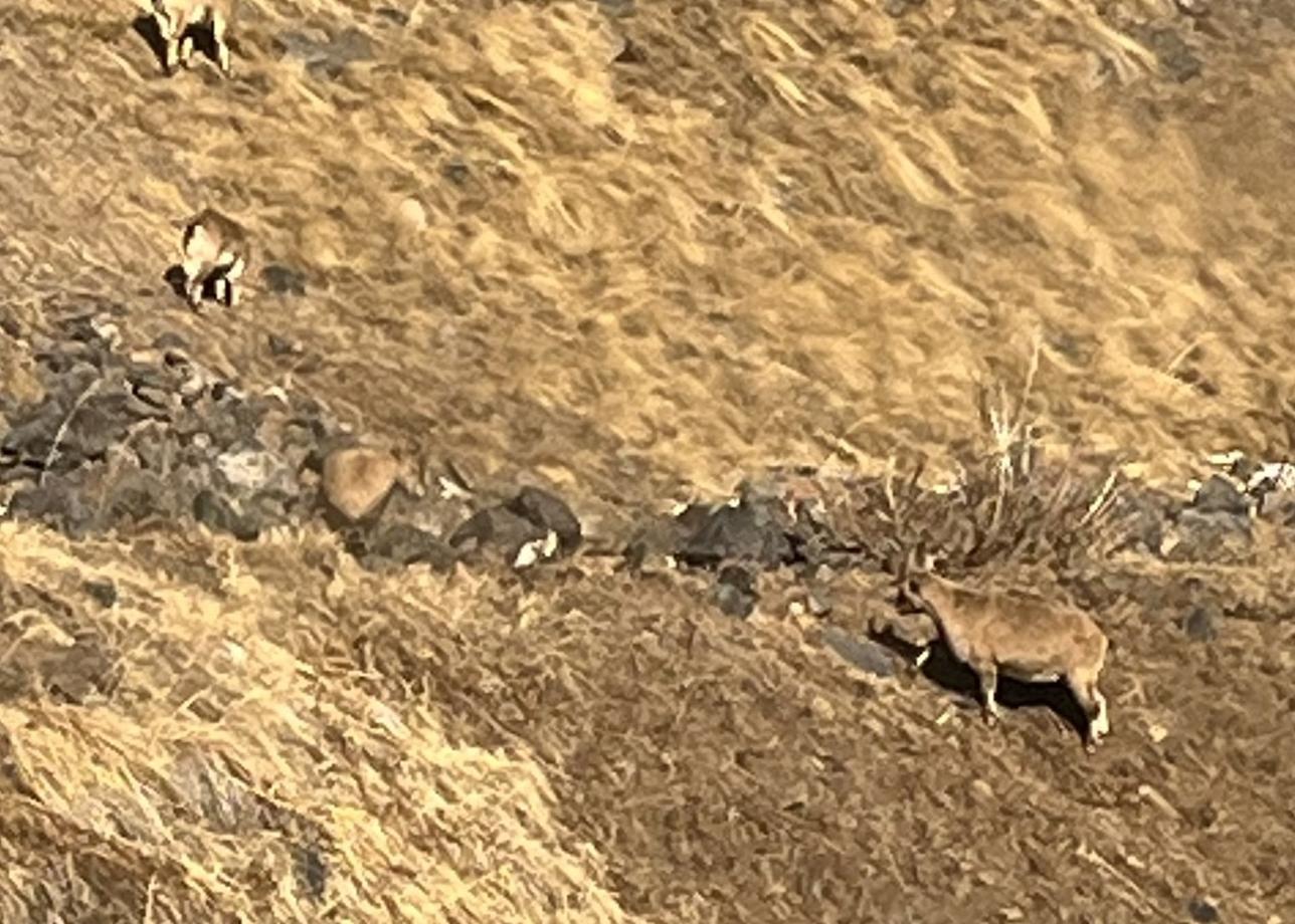 Мы с подругой купили тур в Ставрополье «Кавказская мозаика». Остались в полном восторге от природы, от