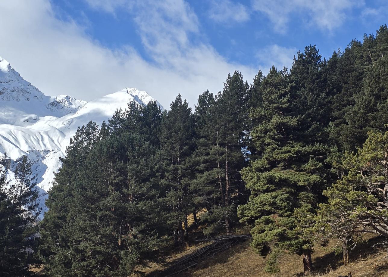 Это было моё первое знакомство с туром, подобного формата (треккинг, прошло оно весьма удачно. Давно уже