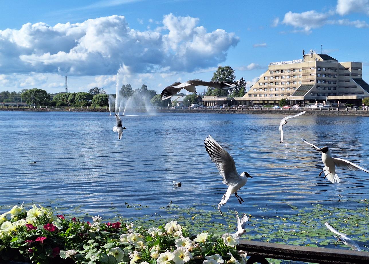 Все точно, чётко, согласно программы, транспорт, питание, отели. Спасибо