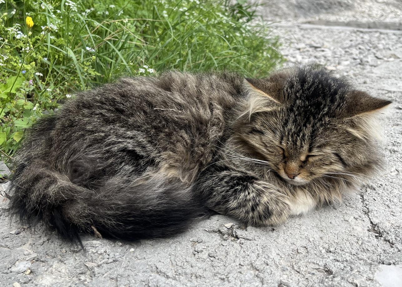 Прекрасный тур, интересные экскурсии и впечатляющие локации! Впечатлений вагон и полный восторг!