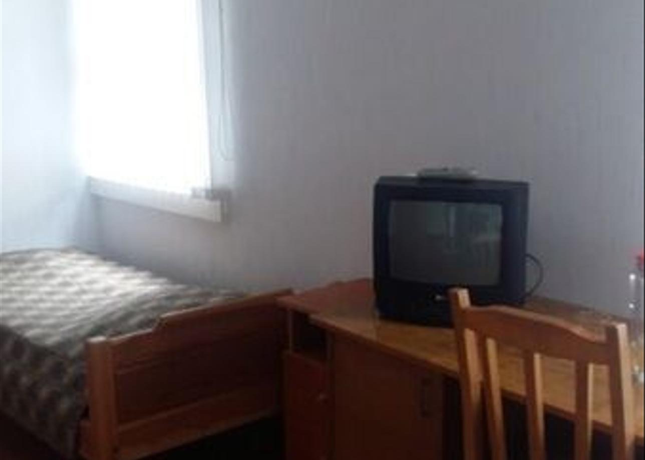 Большие коты турбаза