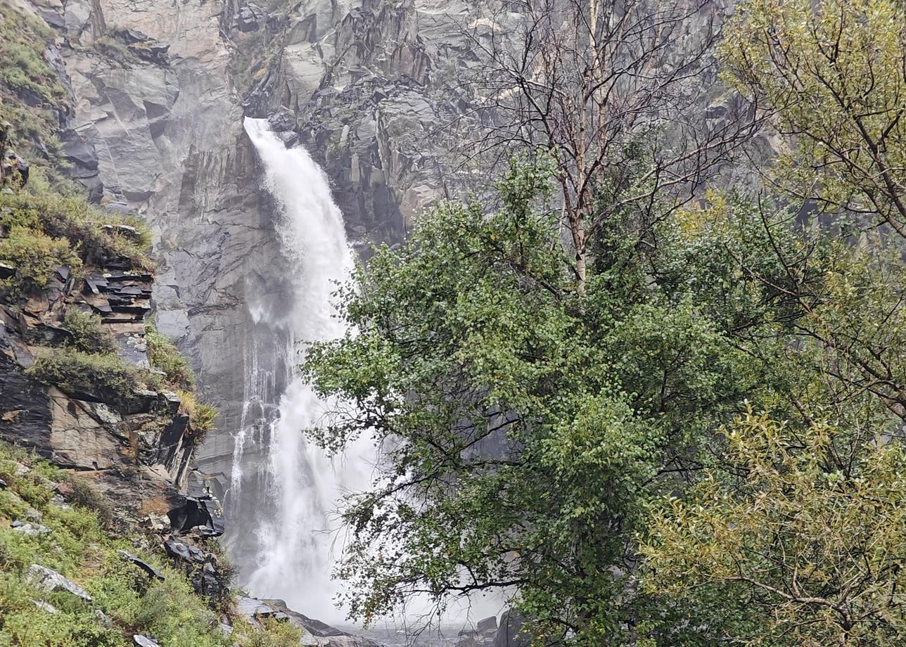 Прекрасное путешествие, просто сказочное!!! Были на маршруте "Кругосветка по Алтаю" с гидом Ольгой Шаховой с 7
