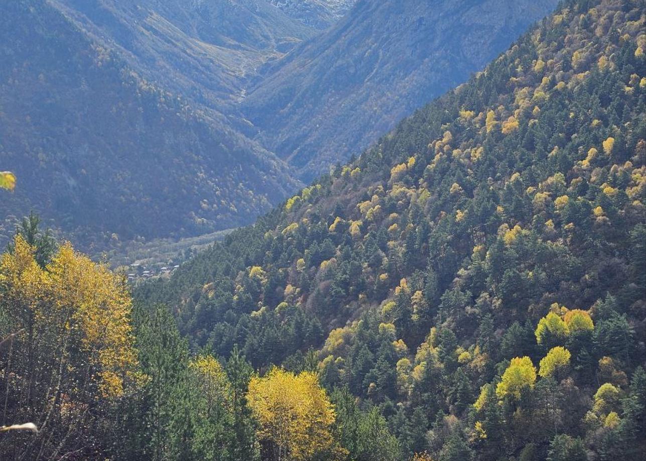 Это было потрясающее приключение! Красота Северной Осетии, гор Кавказа, ледников и горных рек. Внимательный и профессиональный