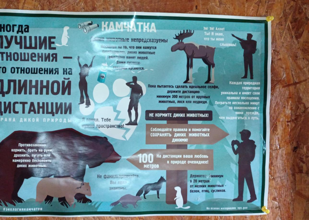 Неожиданно для самой себя, не то что для окружающих, приобрела за 4 дня до вылета тур