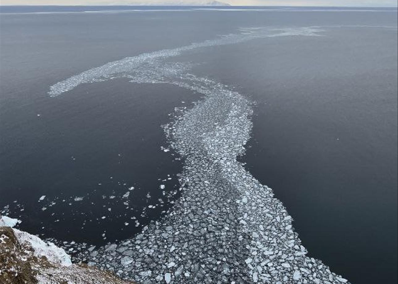 Отправились в это зимнее приключение всей семьей: двое взрослых и сыновья (7 и 9 лет). Сказать