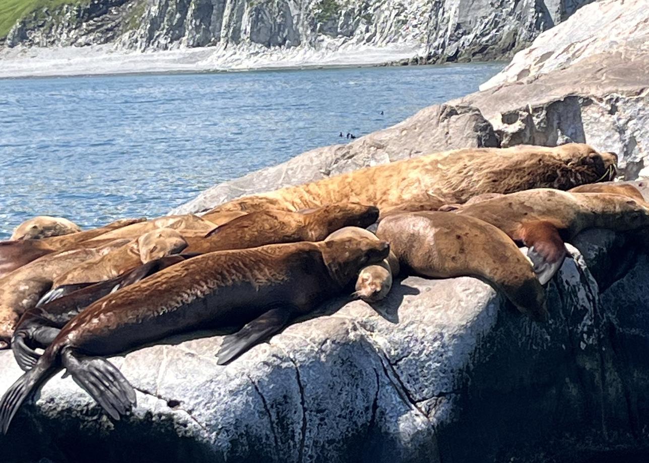 Это был крутой тур! Море впечатлений, эмоций, которые остаются в памяти на всю жизнь!