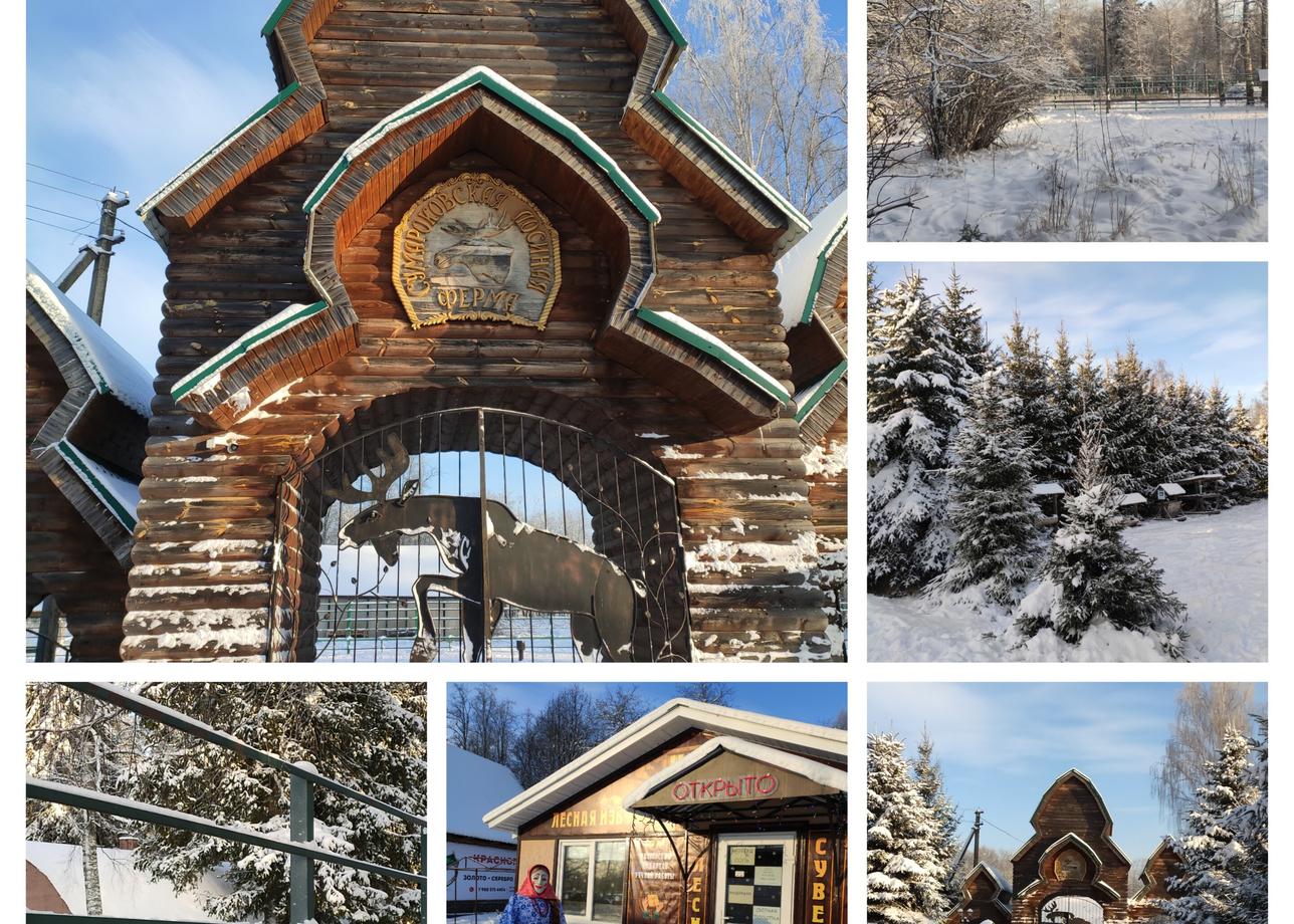 Очень насыщенная и интересная программа. Настоящий Новогодний подарок