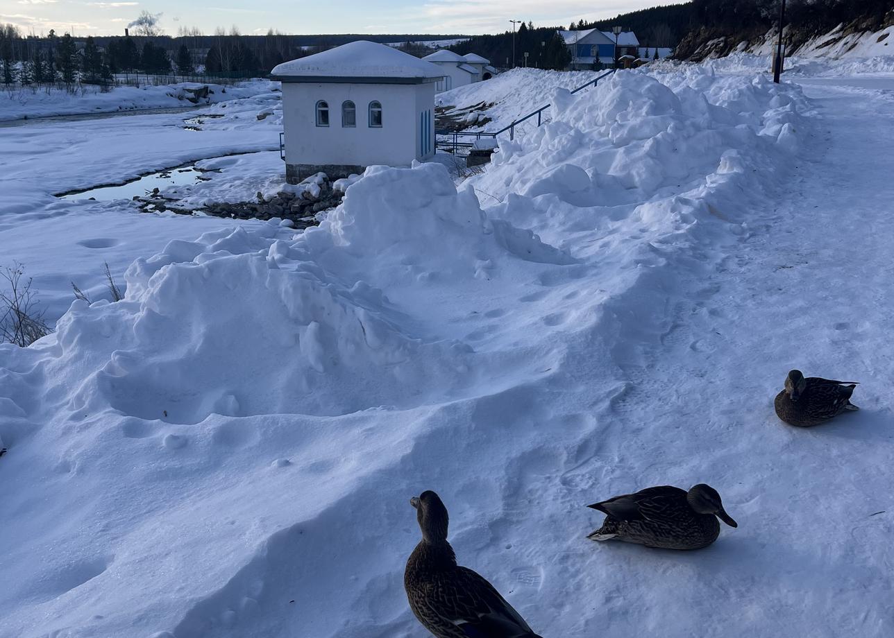 Безумно понравился тур! Башкирия недооценена на 100%. Очень рекомендуем! Прекрасные люди, красивые места и уютная, дружественная атмосфера!