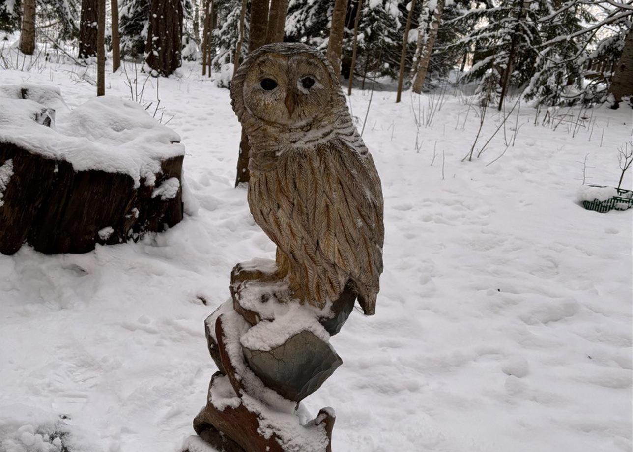 Очень понравился тур! Как за 3 дня увидеть основное в Карелии. А езда на упряжке с