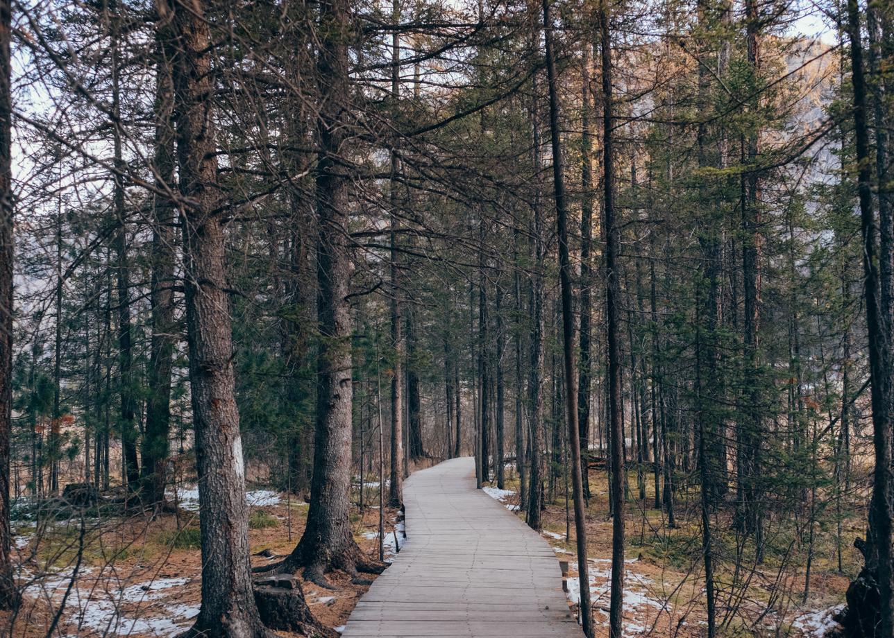 Тур очень понравислся. За 4 дня удалось посмотреть много красивых и разнообразных мест, познакомиться с историей