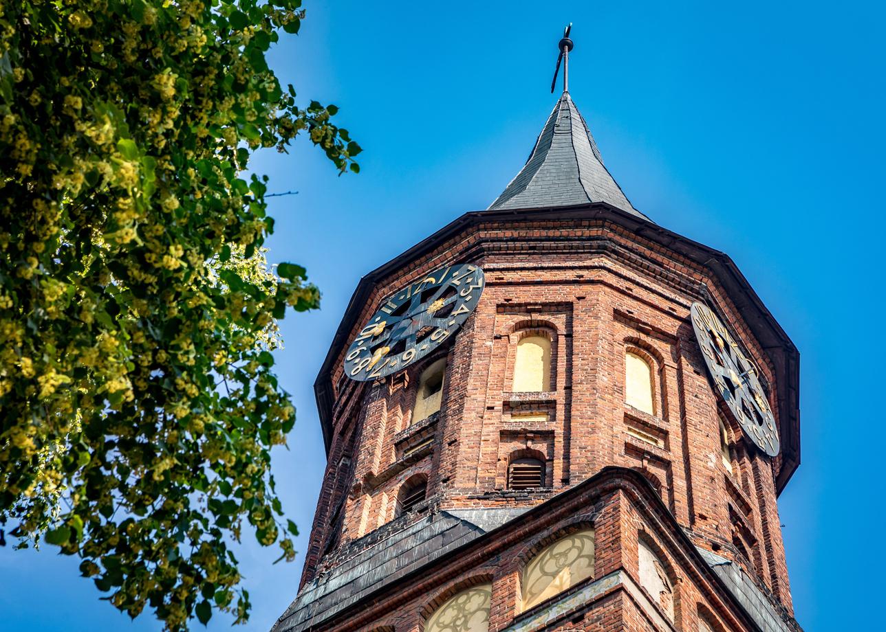 Красоты Янтарного побережья. Тур в Калининградскую область на 8 марта