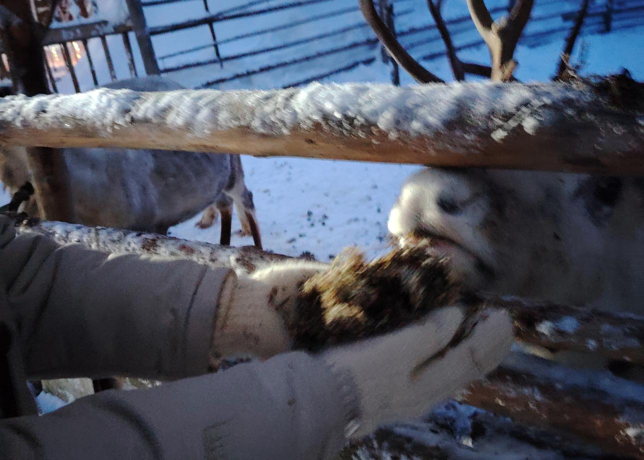 В целом, путешествие вызвало конечно же восторженные эмоции! Программа тура очень интересная. Каждый день новые локации