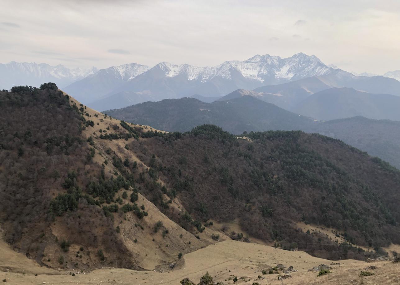 Добрый день, дорогие друзья!