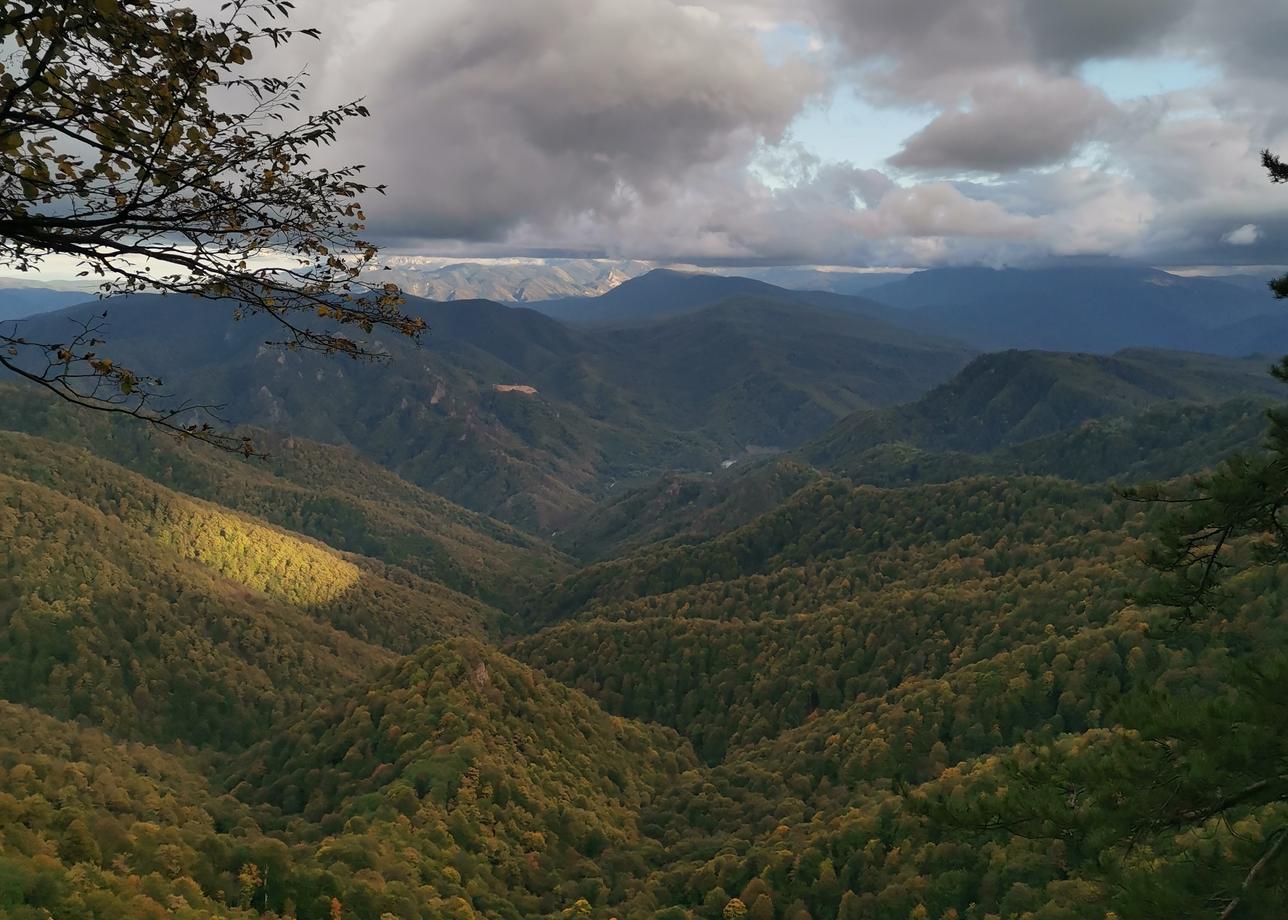 Была в туре "Осеннее очарование гор" с 27.09 по 04.10.25. Организация тура- "от и до". Трансфер
