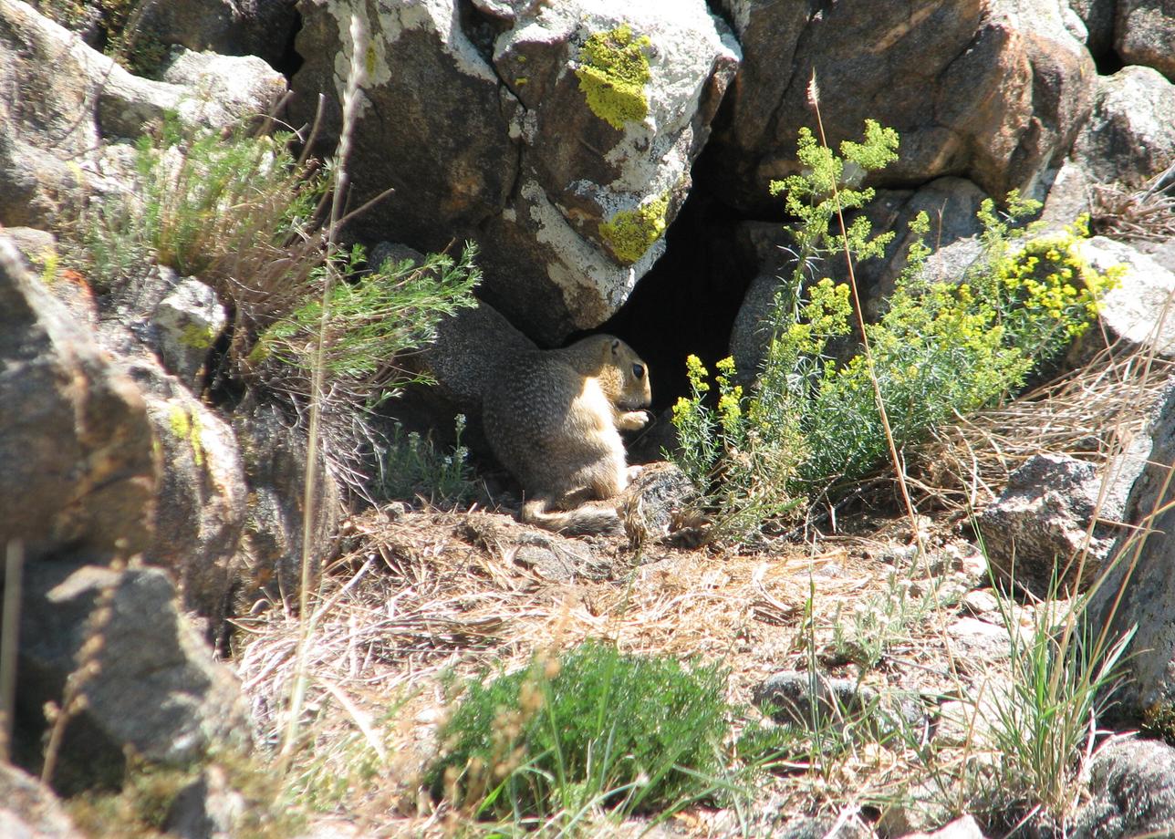 Очень интересный и насыщенный тур. У нас был зеркальный тур.