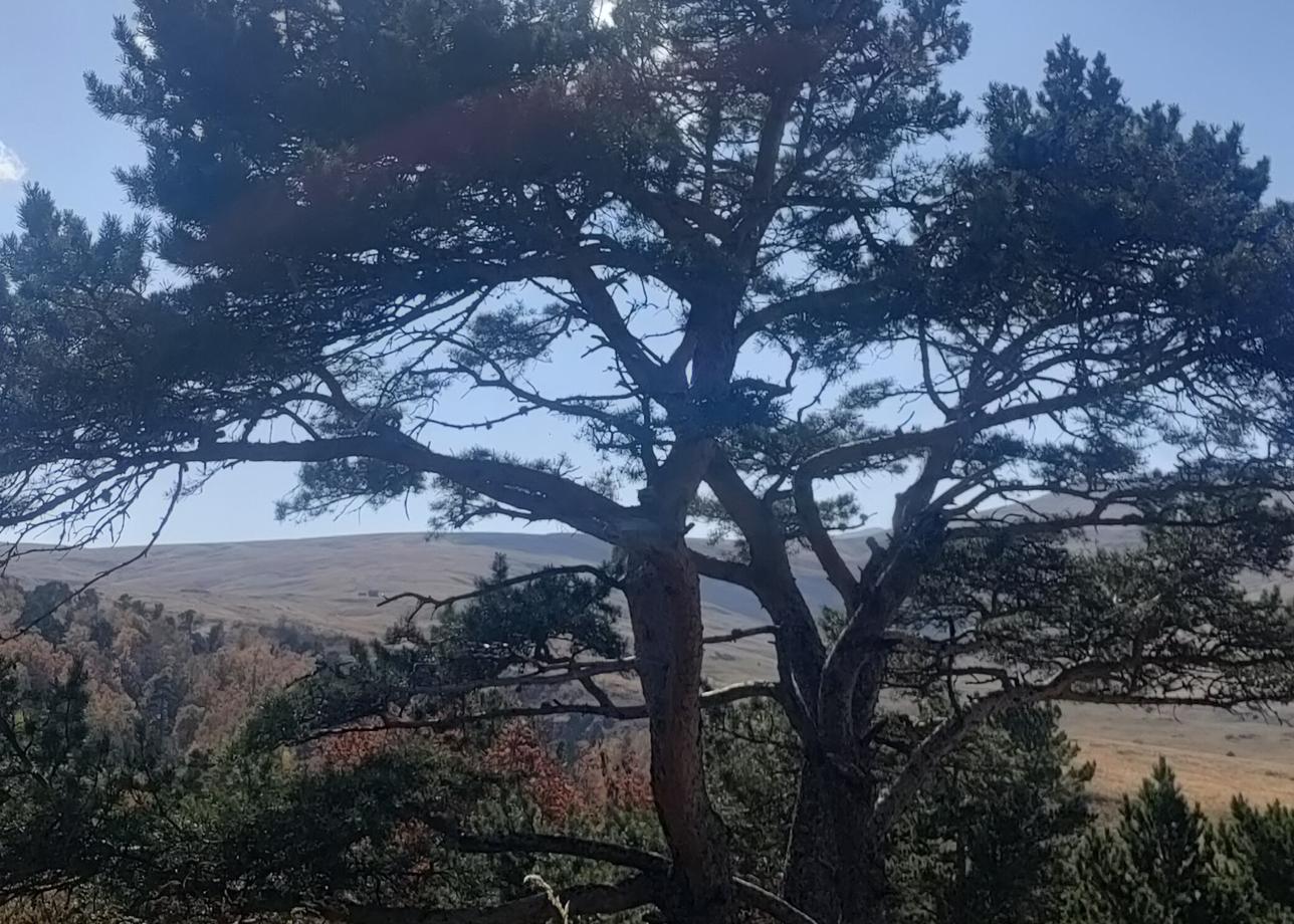 В &quot;Большую страну&quot; обращаемся уже не первый раз. Довольны, проблем не возникало никогда. Продолжайте в том же духе)))