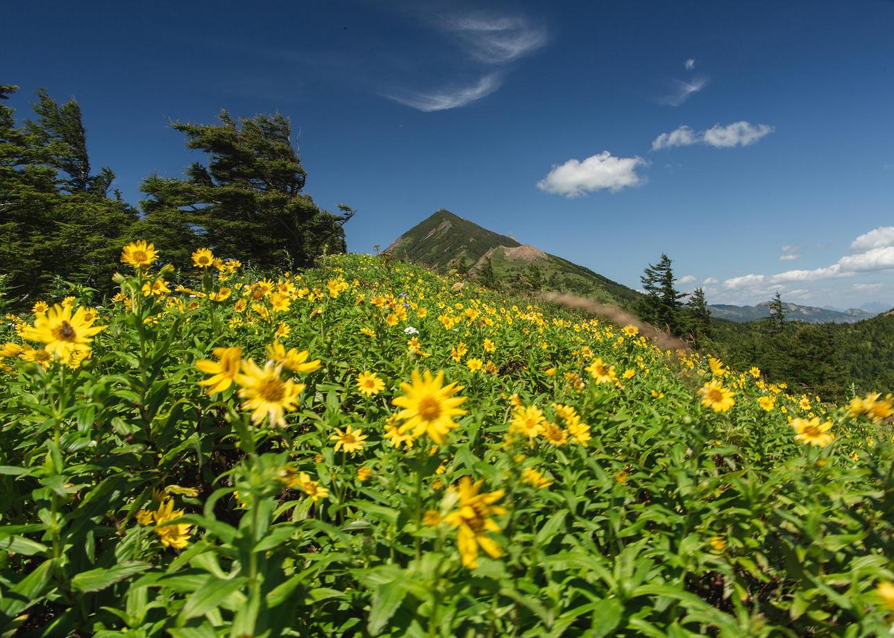 Сахалин + Кунашир. Активный тур без рюкзаков