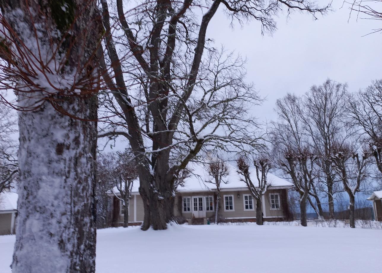 В целом впечатление о туре положительное. Организация хорошая-отъезд, прибытие на локации, заселение и т. д