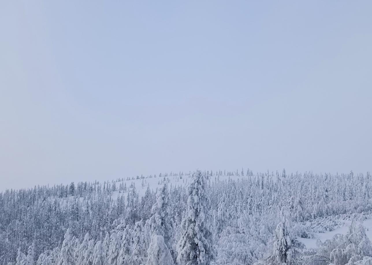 Всё было очень здорово организовано. Душевная компания. Красивейшие места. Красиво и интересно