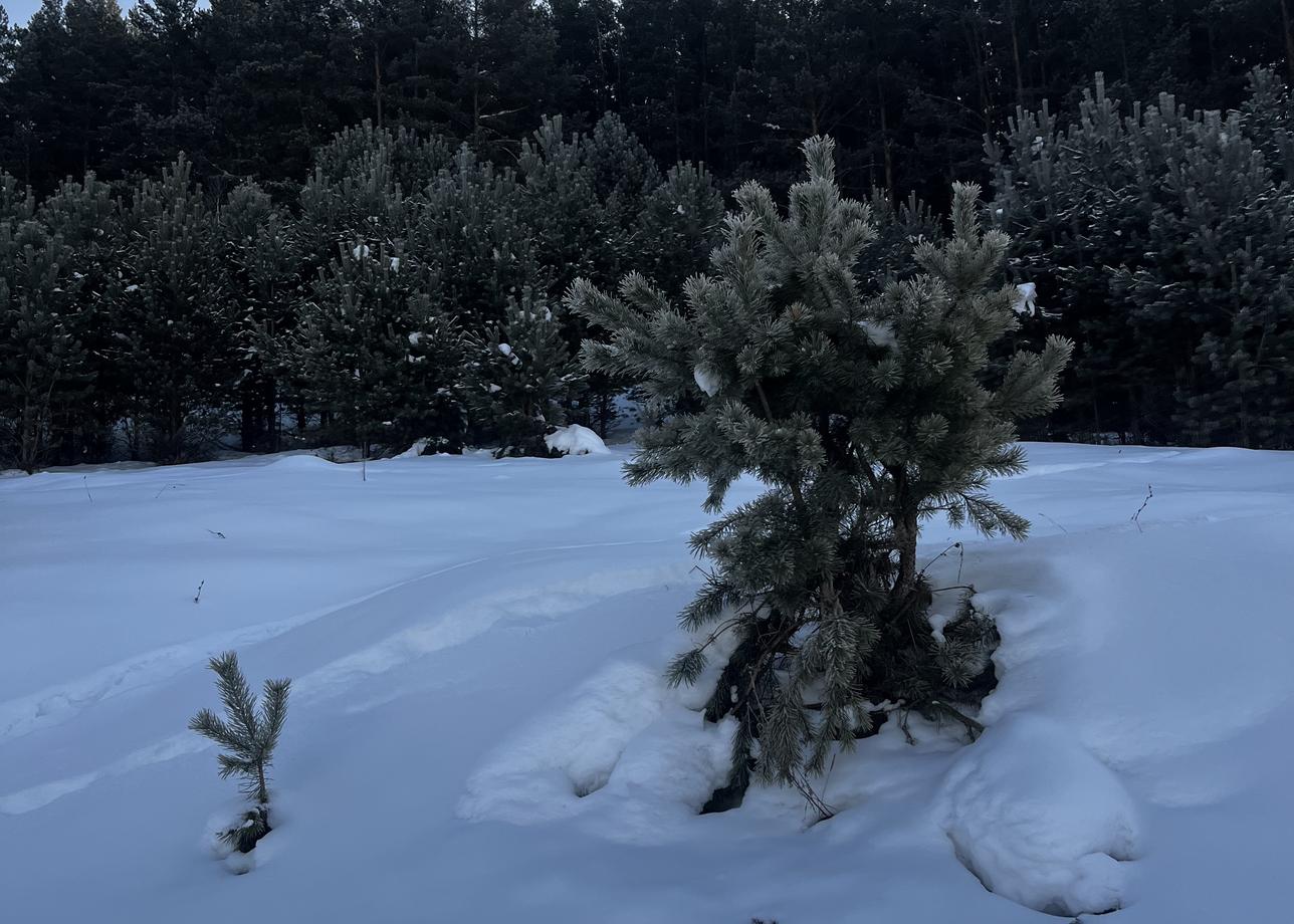 Безумно понравился тур! Башкирия недооценена на 100%. Очень рекомендуем! Прекрасные люди, красивые места и уютная, дружественная атмосфера!