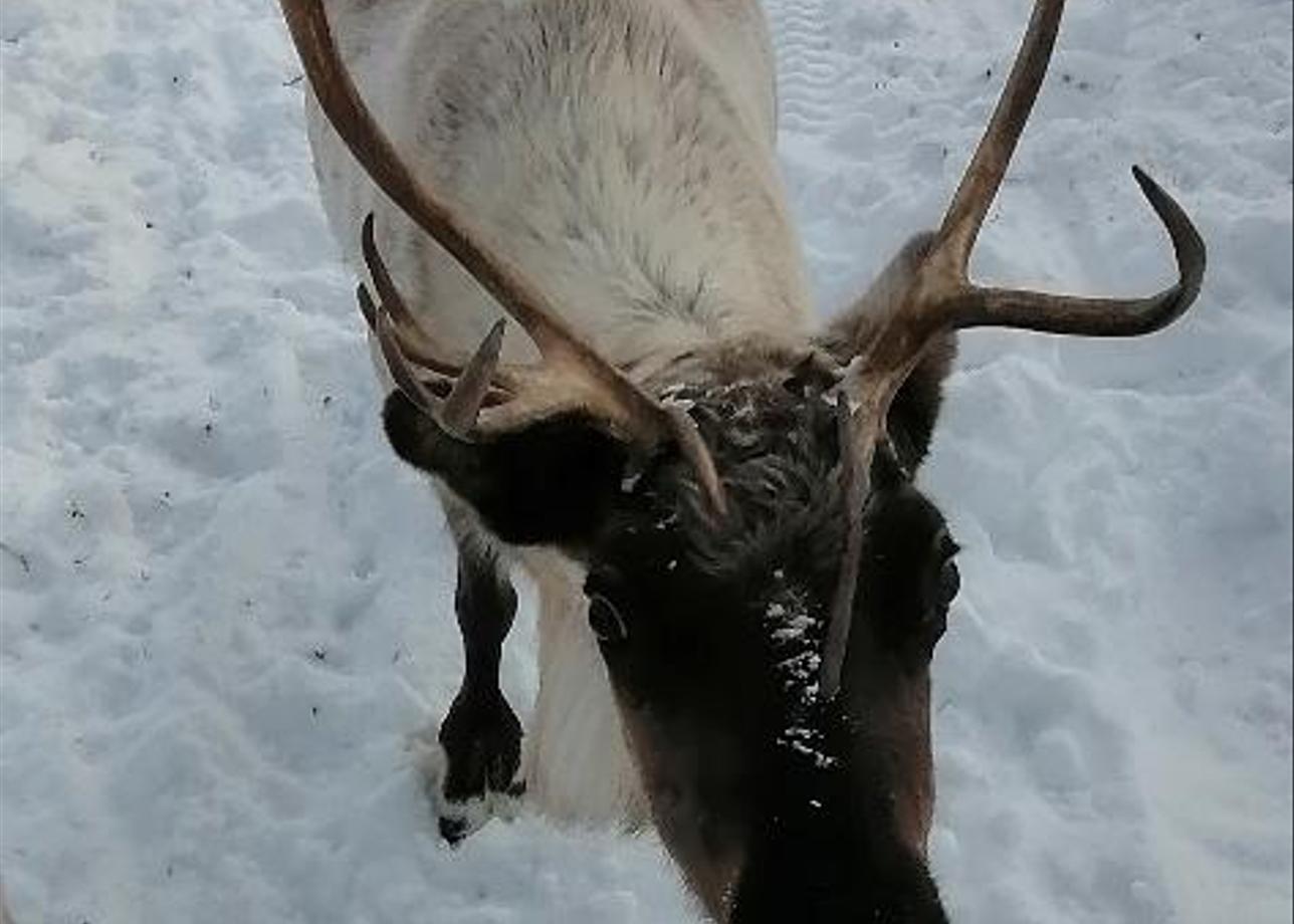 Я всем довольна.