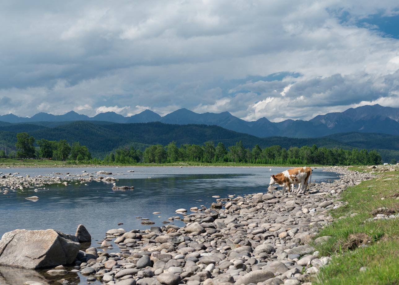 Сибирский вояж. Шушенское - Байкал