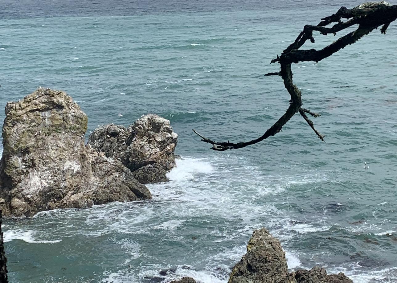 Очень интересный и познавательный тур. Красота природы завораживает! Впечатления незабываемые на всю жизнь!!!