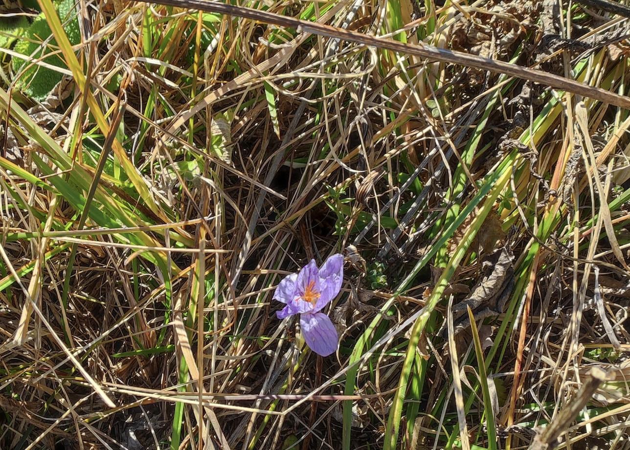 Путешествовали по Адыгее по программе тура "Водная Ривьера. Осенний отдых на термальных источника" в период осенних