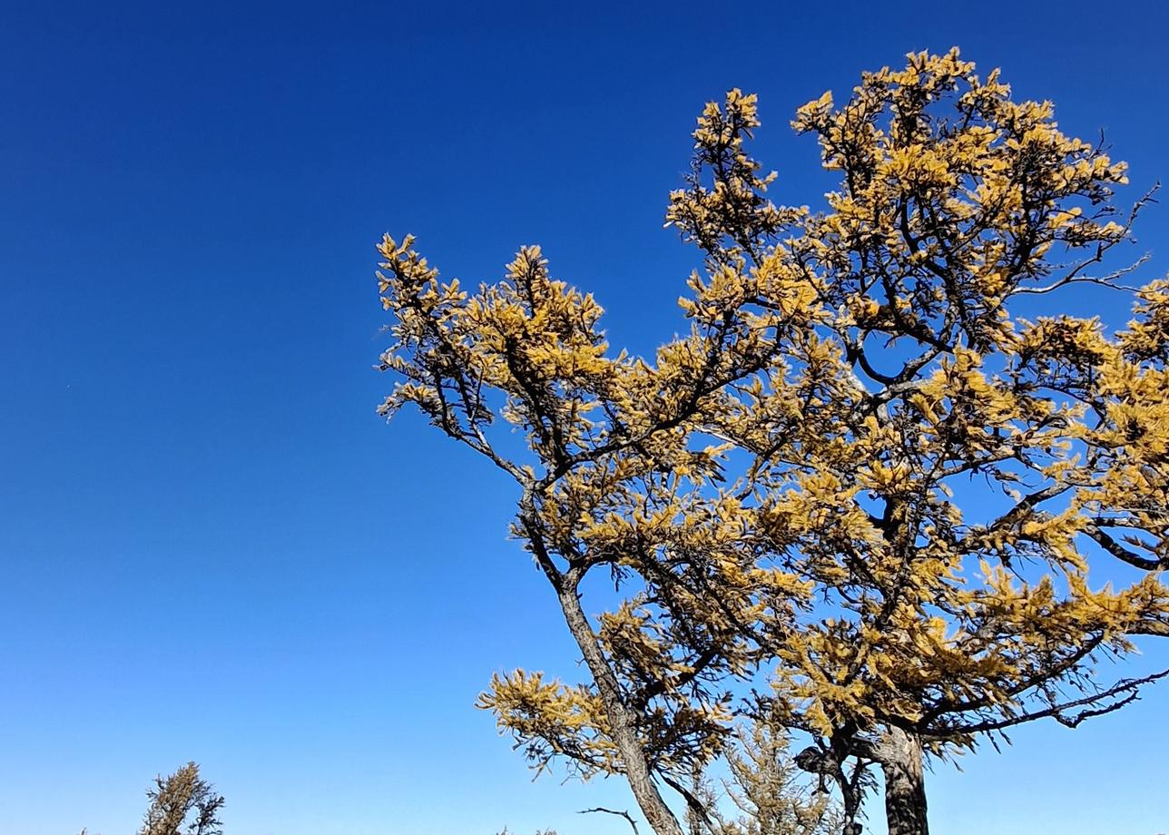 Тур очень понравился! Все продумано до мелочей! Встретили, разместили, накормили. Много посмотрели за эти 5 дней! Рекомендую!